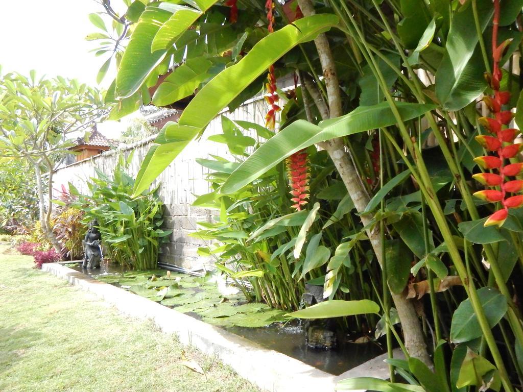 Yuda Menjangan Homestay 반유웨당 외부 사진
